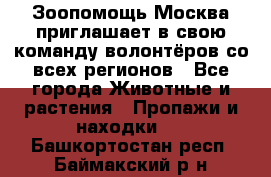 Зоопомощь.Москва приглашает в свою команду волонтёров со всех регионов - Все города Животные и растения » Пропажи и находки   . Башкортостан респ.,Баймакский р-н